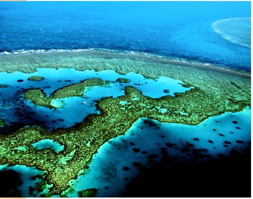 Australia Reef