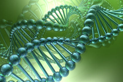 DNA - Biology Encyclopedia - cells, body, function, human, organisms